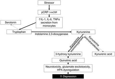 Monomeric C-reactive protein as a biomarker for major depressive disorder